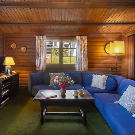 Brisca By Interhome Verbier