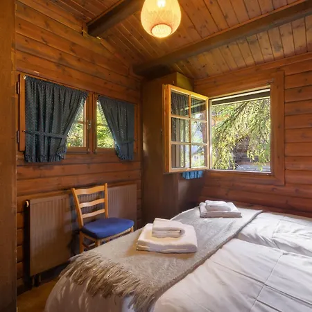 Chalet Brisca By Interhome Verbier